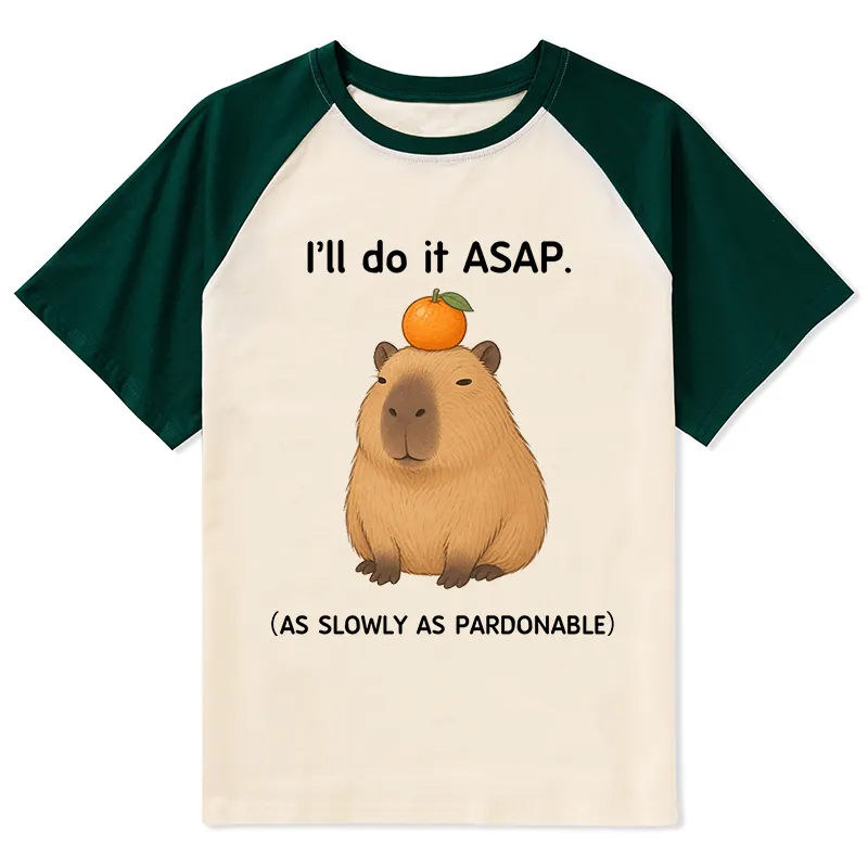 Tokyo-Tiger Slow Task Capybara Meme Raglan T-shirt