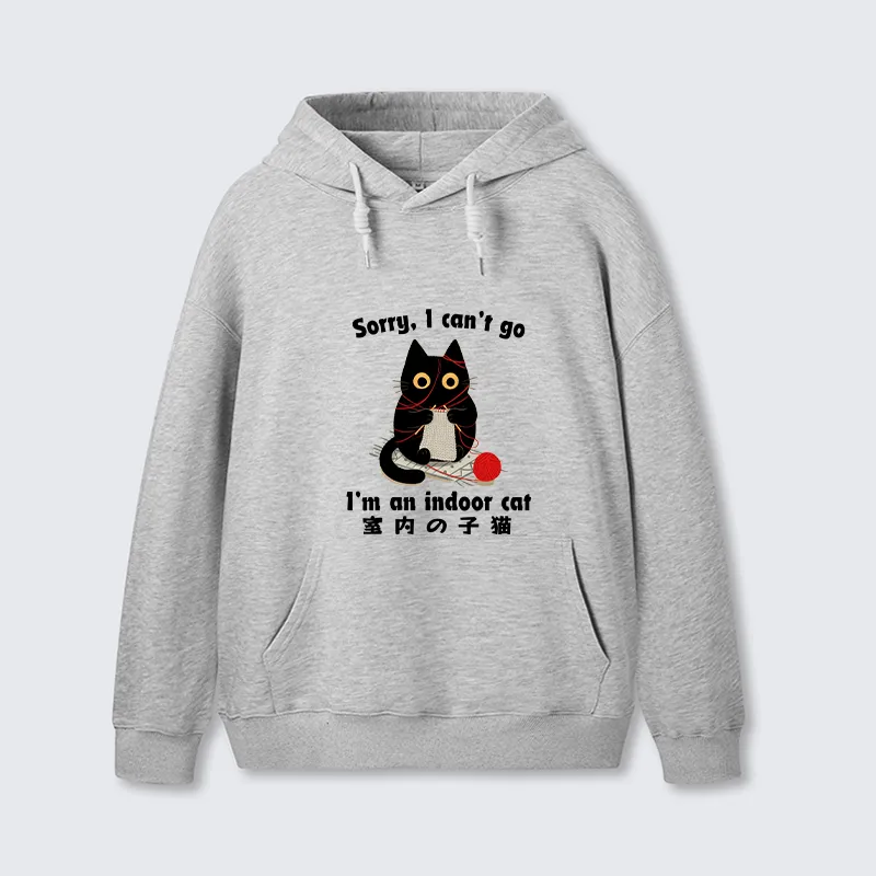 Tokyo-Tiger Indoor Cat Meme Classic Hoodie
