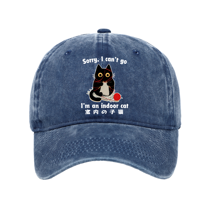 Tokyo-Tiger Indoor Cat Meme Washed Cap