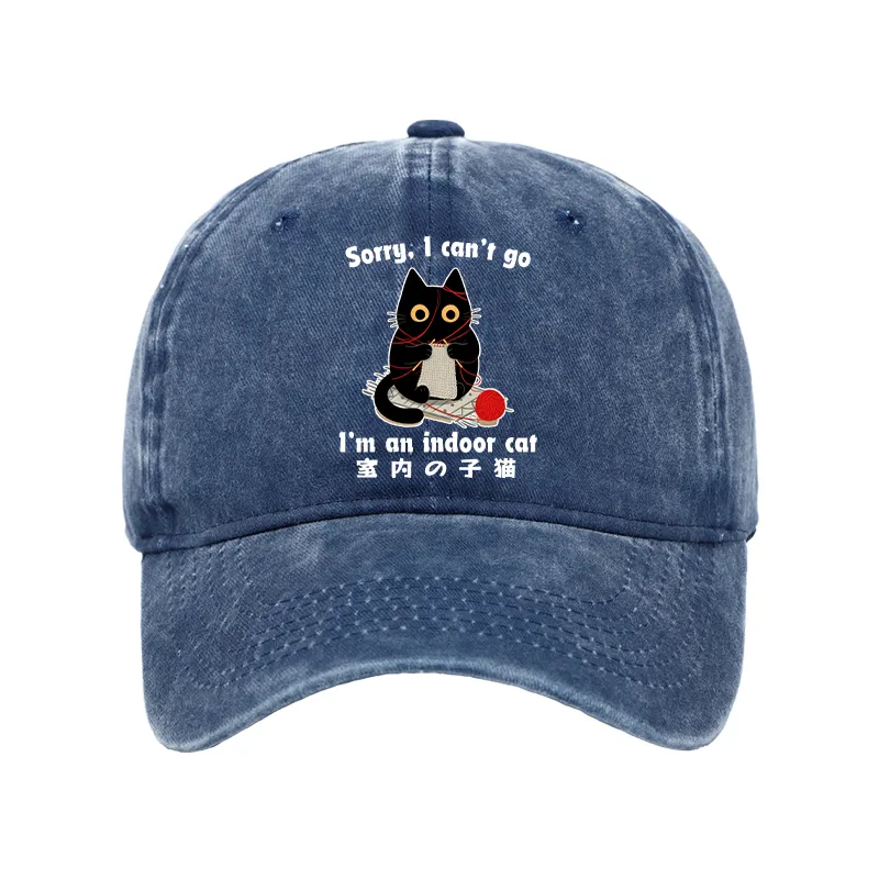 Tokyo-Tiger Indoor Cat Meme Washed Cap