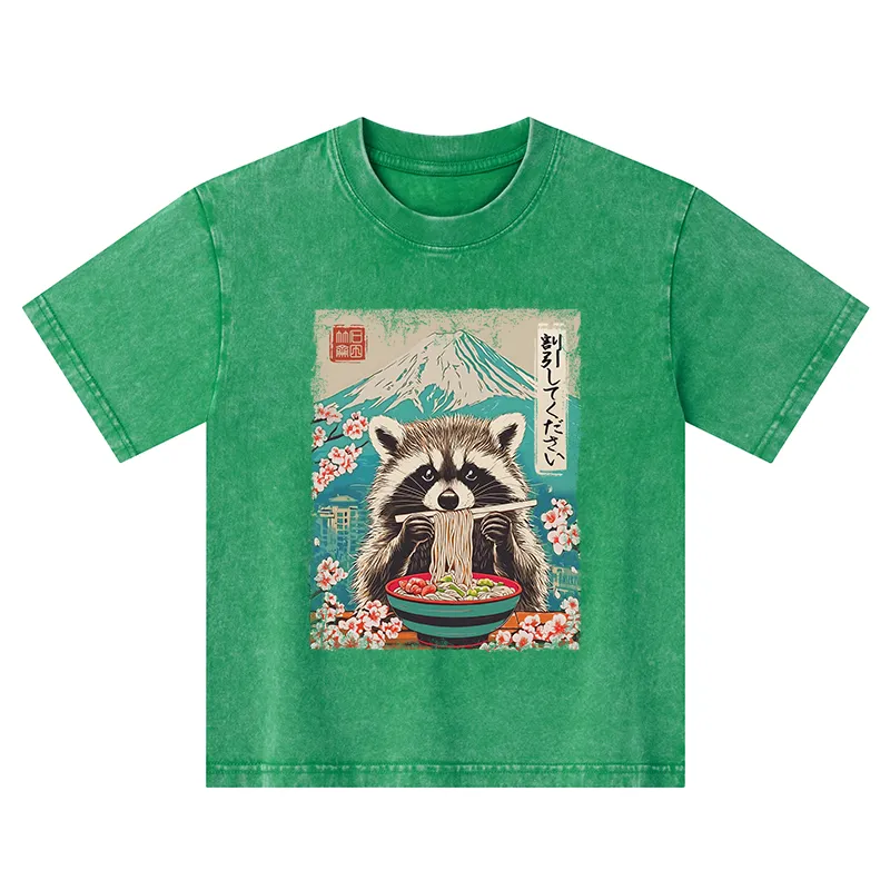 Tokyo-Tiger Please Give Raccoon A Discount Kids Washed T-Shirt
