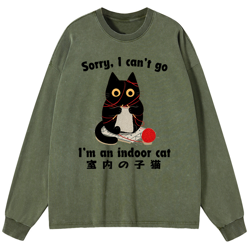 Tokyo-Tiger Indoor Cat Meme Washed Long Sleeve T-Shirt