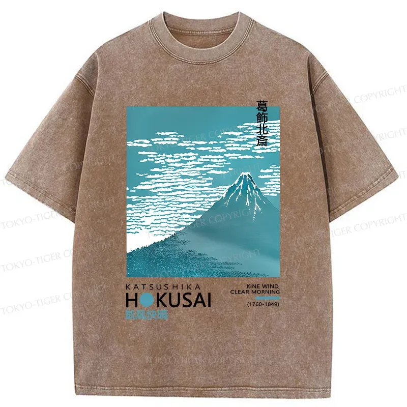 Tokyo-Tiger Retro Mount Fuji Washed T-Shirt