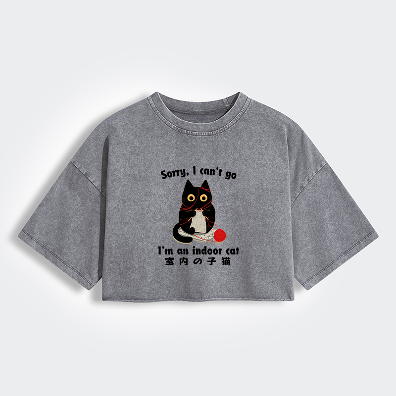 Tokyo-Tiger Indoor Cat Meme Women's Washed Crop T-Shirt