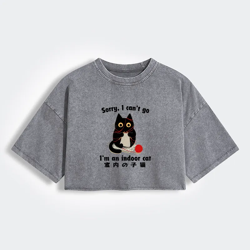 Tokyo-Tiger Indoor Cat Meme Women's Washed Crop T-Shirt Sale