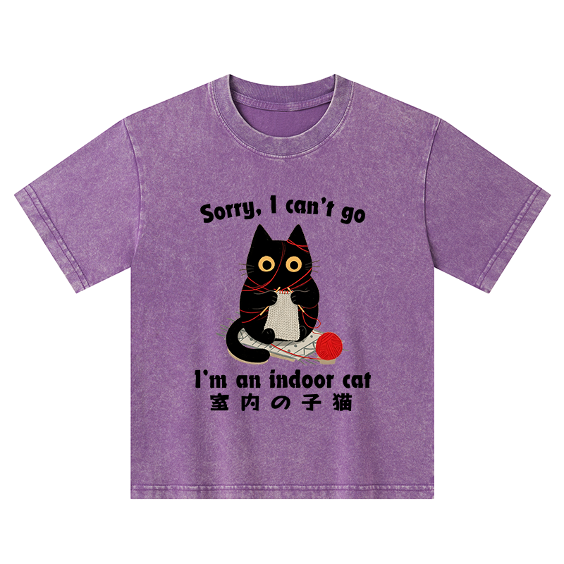 Tokyo-Tiger Indoor Cat Meme Kids Washed T-Shirt