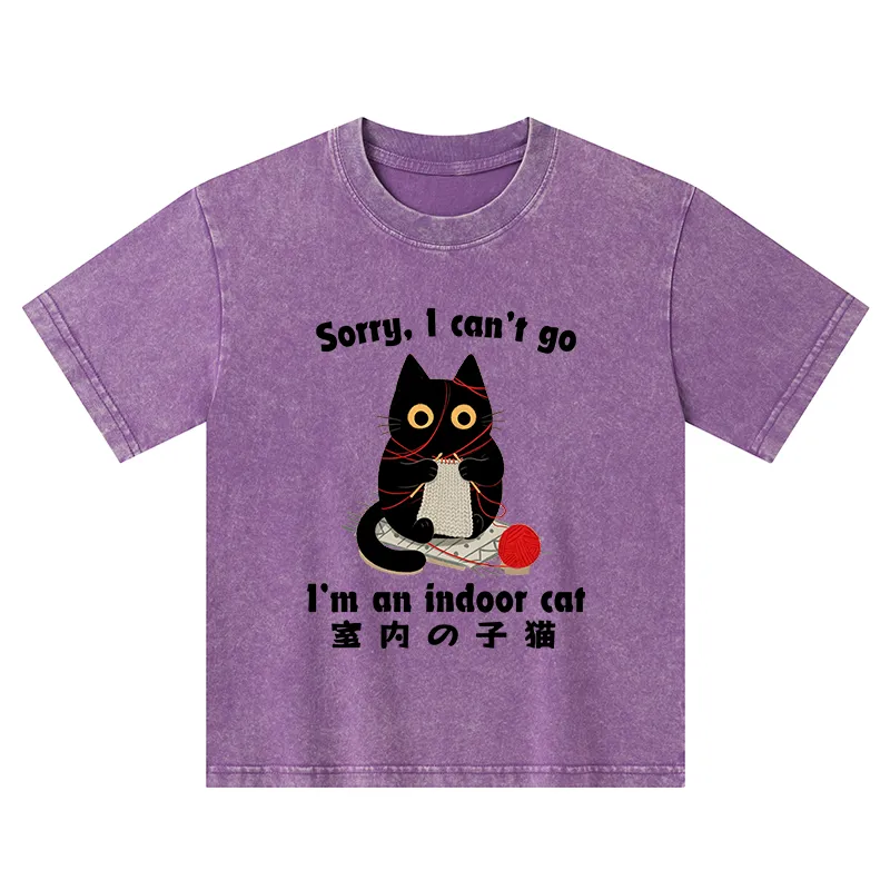 Tokyo-Tiger Indoor Cat Meme Kids Washed T-Shirt
