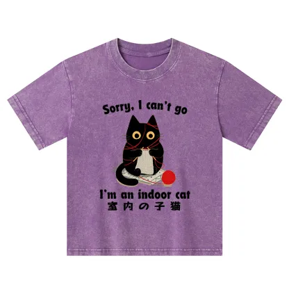 Tokyo-Tiger Indoor Cat Meme Kids Washed T-Shirt
