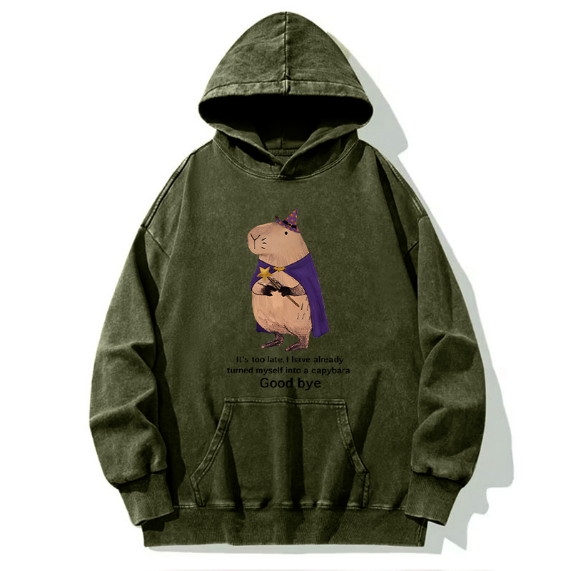 Tokyo-Tiger Funny Wizard Capybara Washed Hoodie