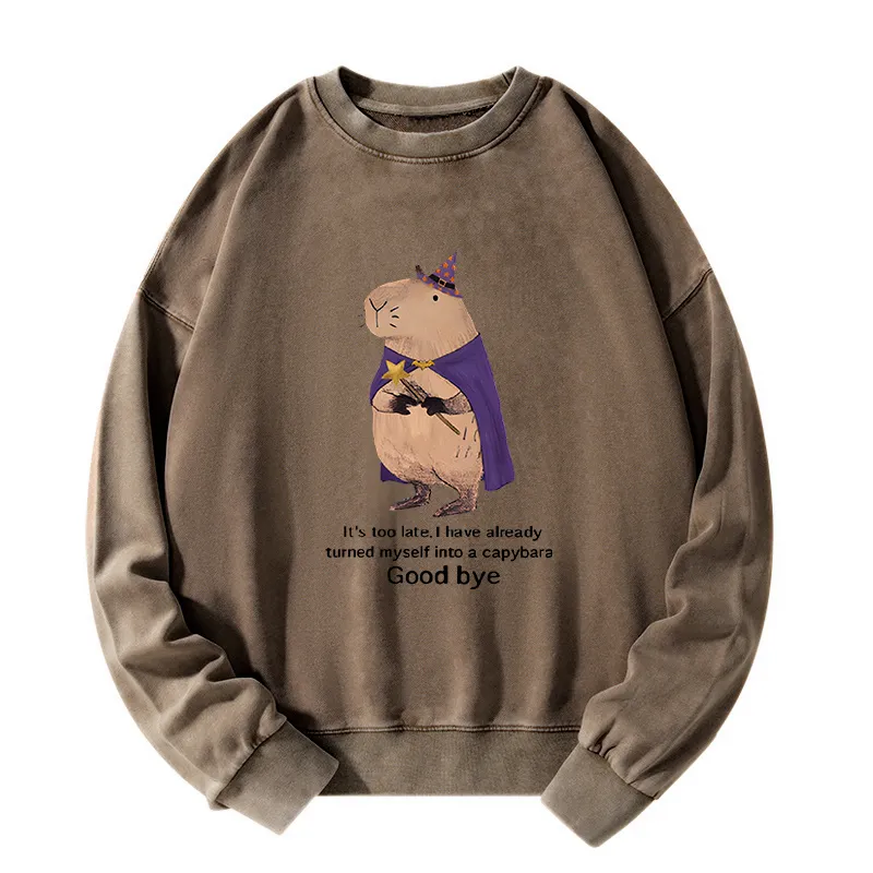 Tokyo-Tiger Funny Wizard Capybara Washed Sweatshirt