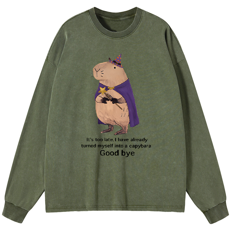 Tokyo-Tiger Funny Wizard Capybara Washed Long Sleeve T-Shirt