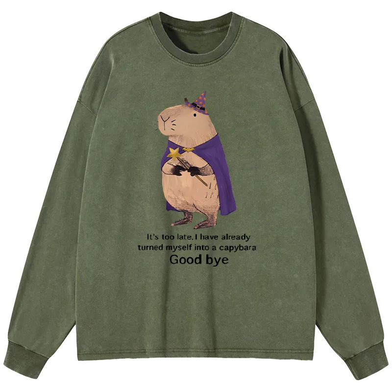Tokyo-Tiger Funny Wizard Capybara Washed Long Sleeve T-Shirt Sale