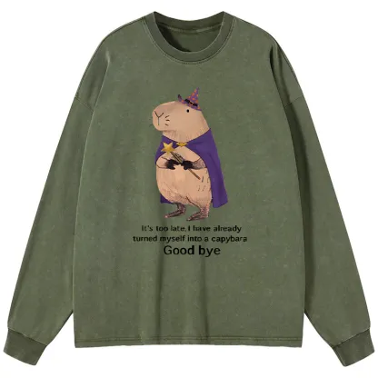 Tokyo-Tiger Funny Wizard Capybara Washed Long Sleeve T-Shirt