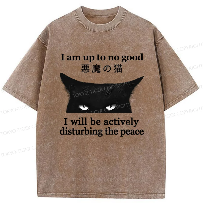 Tokyo-Tiger Cat Disturbing The Peace Washed T-Shirt