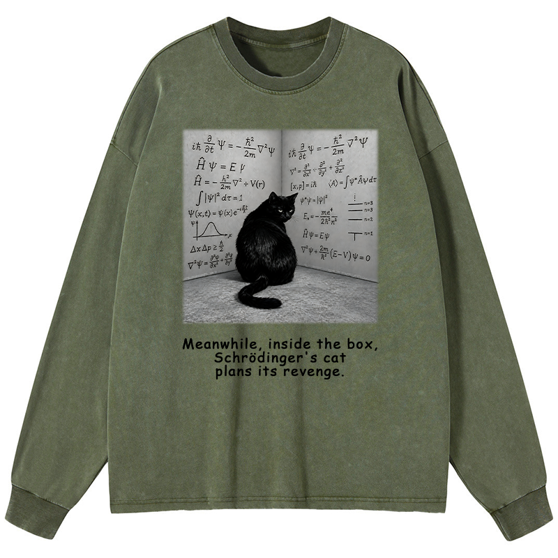 Tokyo-Tiger Box Black Cat Science Meme Washed Long Sleeve T-Shirt