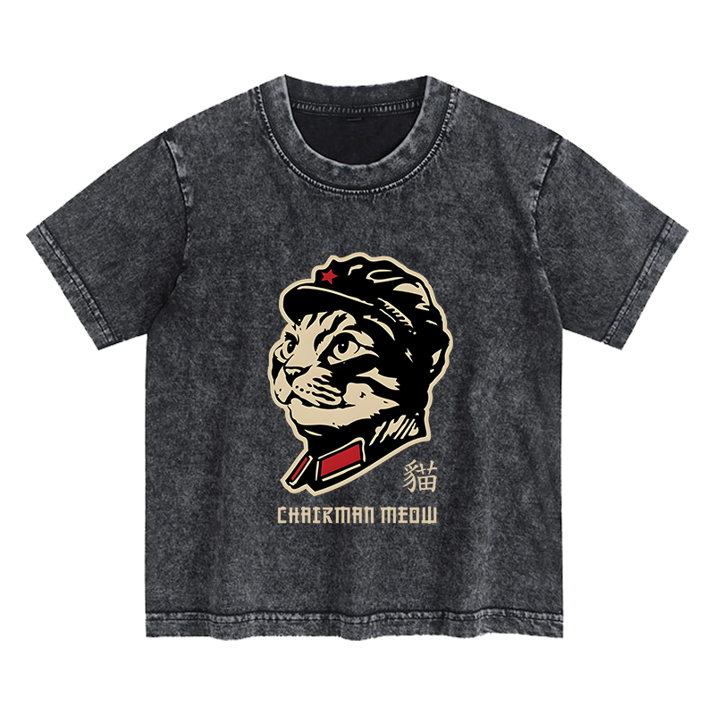 Tokyo-Tiger Chinese Spirit Cat Kids Washed T-Shirt Sale