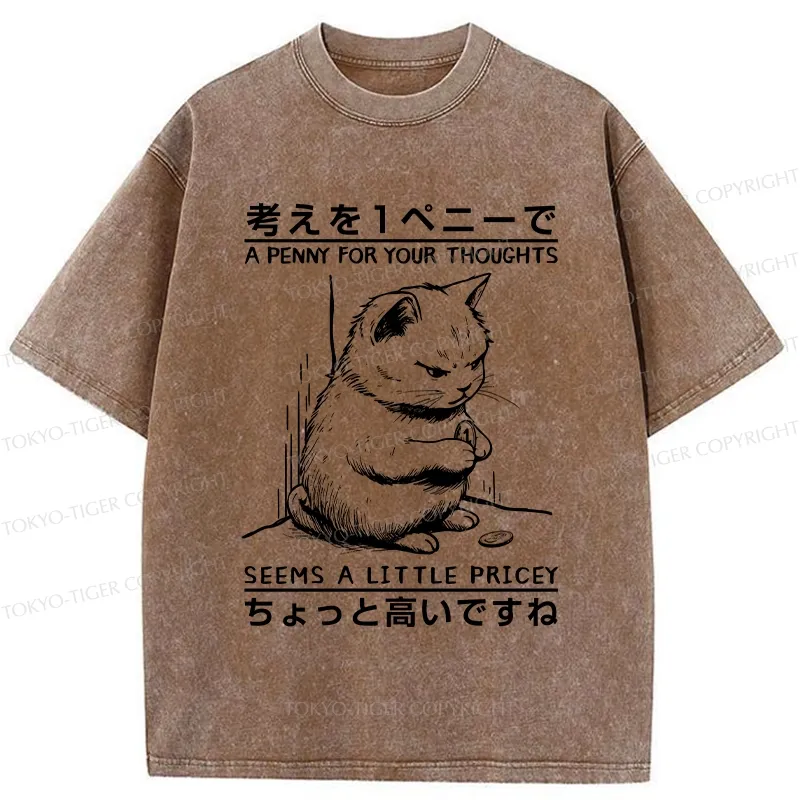 Tokyo-Tiger A Penny For Your Thoughts Washed T-Shirt