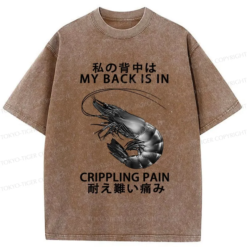 Tokyo-Tiger My Back Is In Crippling Pain Washed T-Shirt
