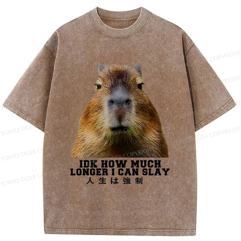 Tokyo-Tiger Life Is Forced Washed T-Shirt