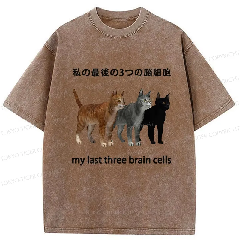 Tokyo-Tiger My Last Three Brain Cells Washed T-Shirt