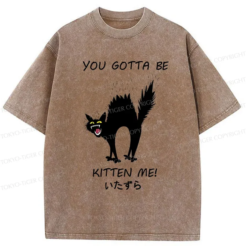 Tokyo-Tiger Cat Being Teased Washed T-Shirt