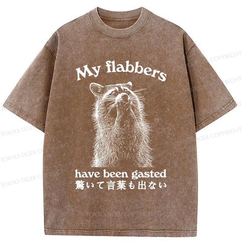 Tokyo-Tiger My Flabbers Have Been Gasted Washed T-Shirt