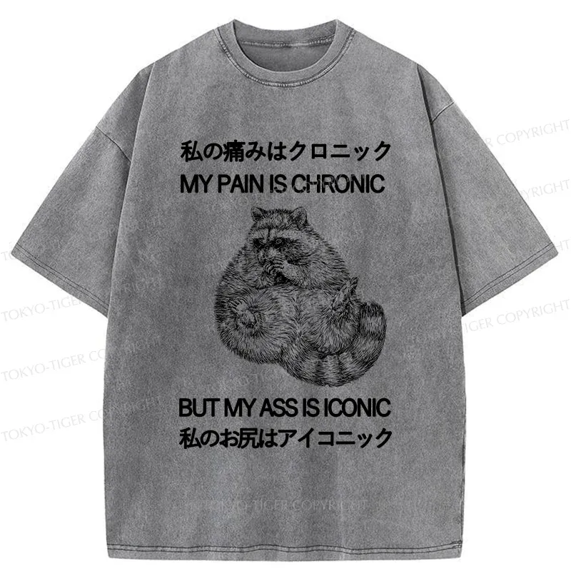 Tokyo-Tiger Raccoon Assis Iconic Washed T-Shirt