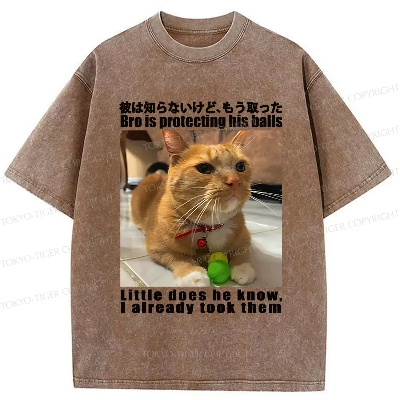 Tokyo-Tiger Bro Is Protecting His Balls Washed T-Shirt