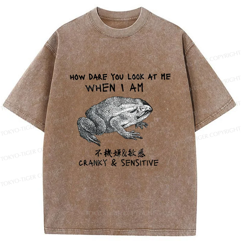 Tokyo-Tiger Frog That Can't Look Straight Washed T-Shirt