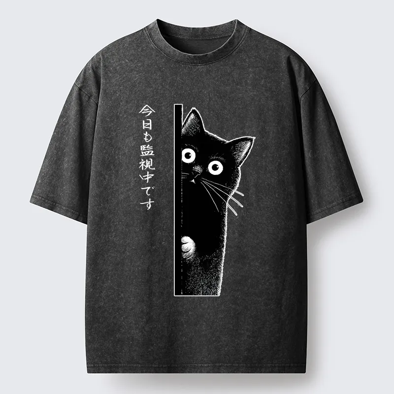 Tokyo-Tiger A Black Cat Is Watching You Washed T-Shirt