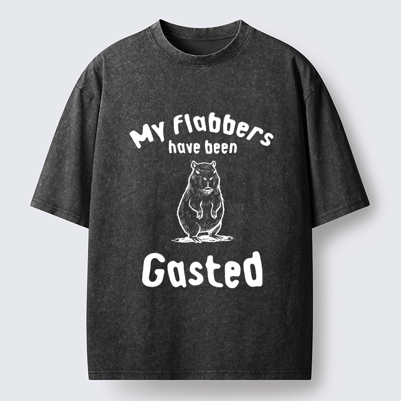 Tokyo-Tiger My Flabbers Have Been Gasted Capybara Washed T-Shirt