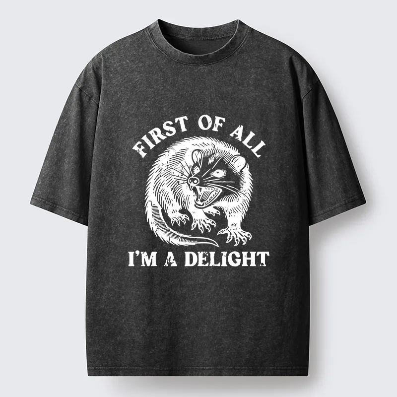 Tokyo-Tiger Delight Possum Meme Washed T-Shirt