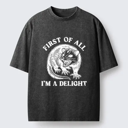 Tokyo-Tiger Delight Possum Meme Washed T-Shirt