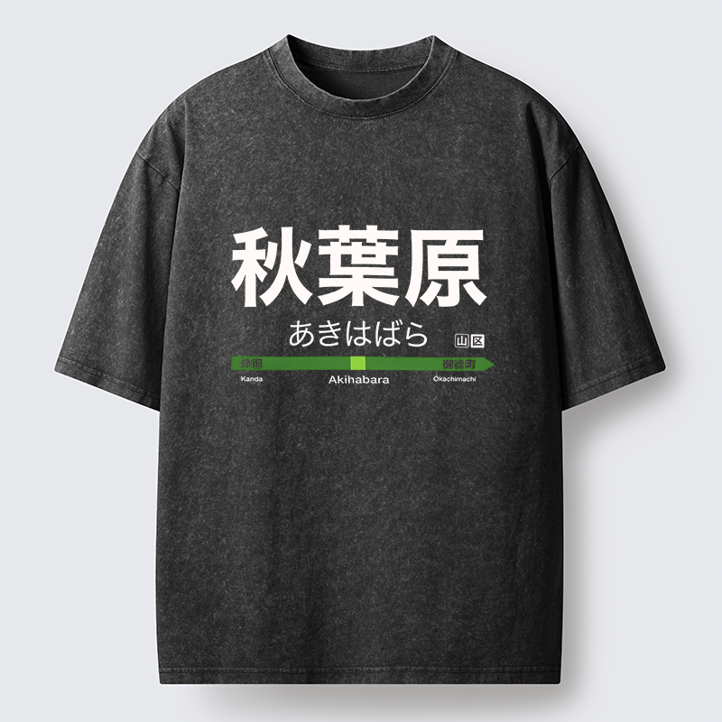 Tokyo-Tiger Japan Akihabara Line Station Washed T-Shirt