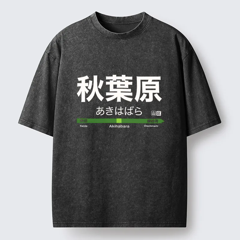 Tokyo-Tiger Japan Akihabara Line Station Washed T-Shirt