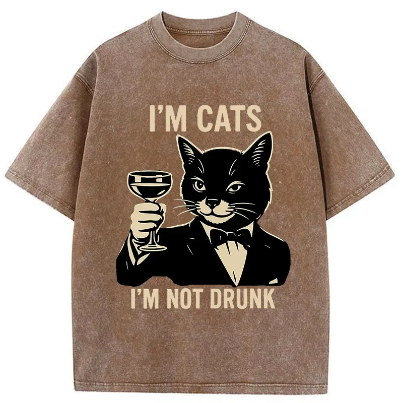 Tokyo-Tiger Cat Cheers Meme Funny Washed T-Shirt