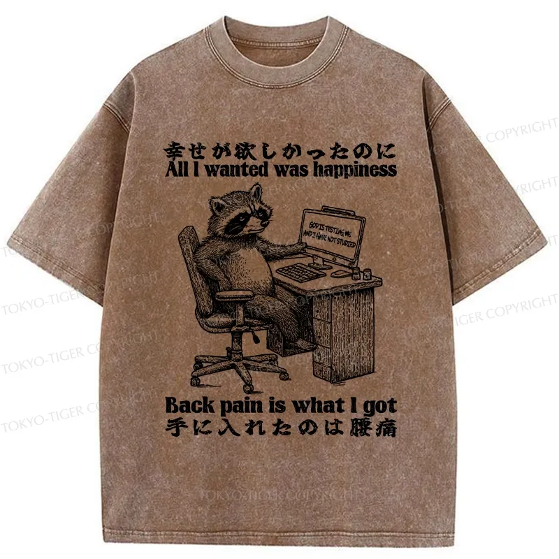 Tokyo-Tiger All I Wanted Was Happiness Washed T-Shirt