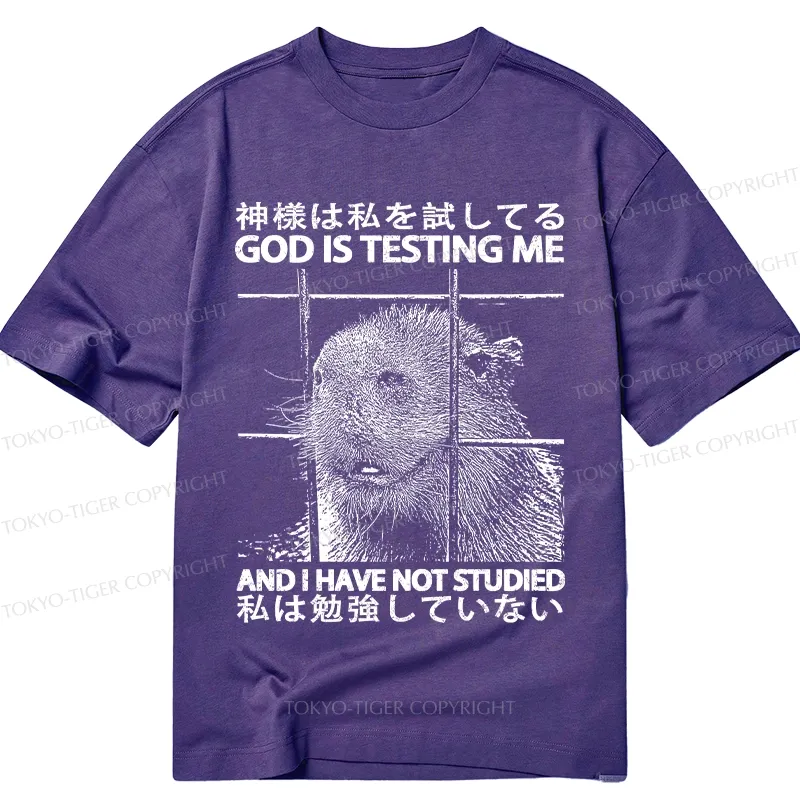 Tokyo-Tiger God Is Testing Me Classic T-Shirt