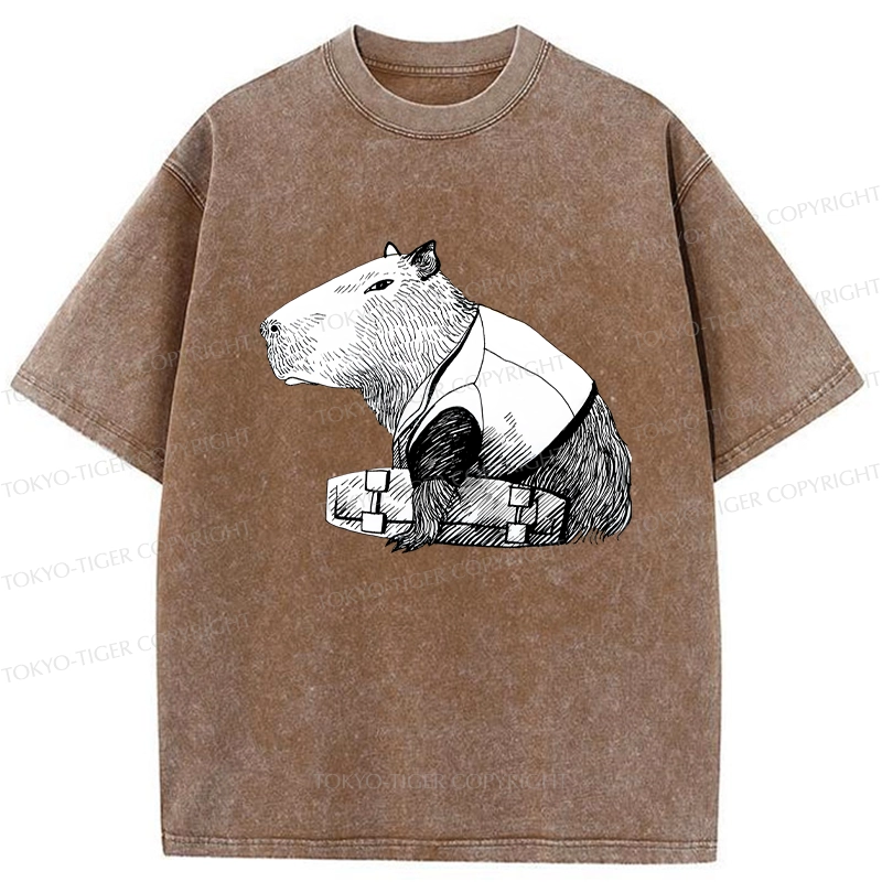 Tokyo-Tiger Funny Capybara Skateboard Washed T-Shirt