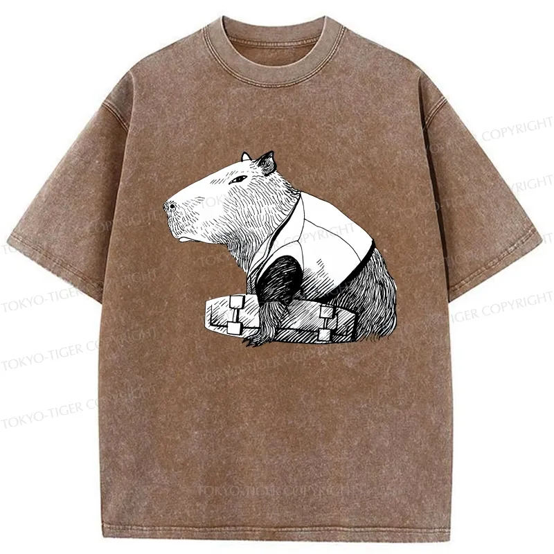 Tokyo-Tiger Funny Capybara Skateboard Washed T-Shirt