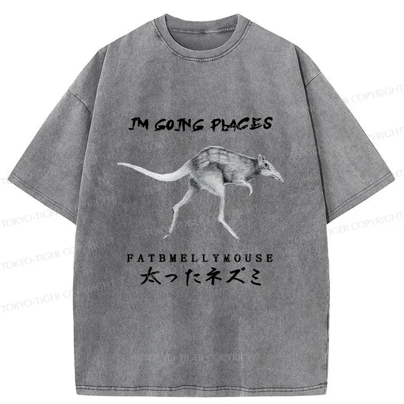 Tokyo-Tiger Long-Legged Mouse Washed T-Shirt