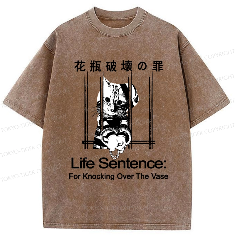 Tokyo-Tiger The Sin Of Vase Breaking Funny Washed T-Shirt