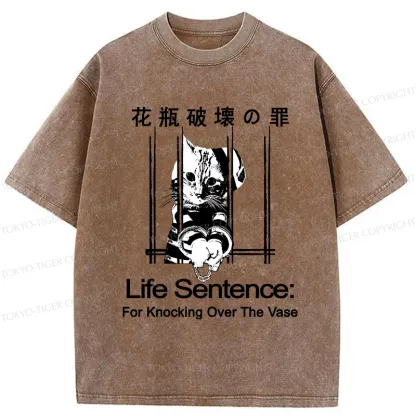 Tokyo-Tiger The Sin Of Vase Breaking Funny Washed T-Shirt