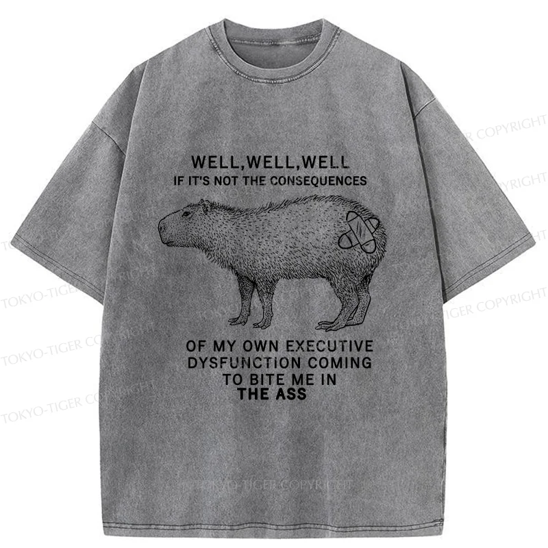 Tokyo-Tiger Stupid Capybara Washed T-Shirt