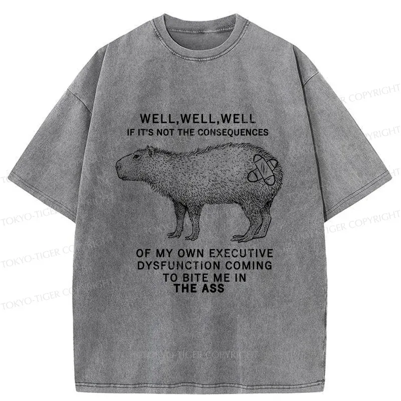 Tokyo-Tiger Stupid Capybara Washed T-Shirt