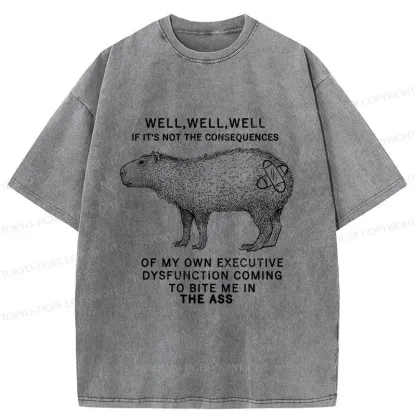 Tokyo-Tiger Stupid Capybara Washed T-Shirt