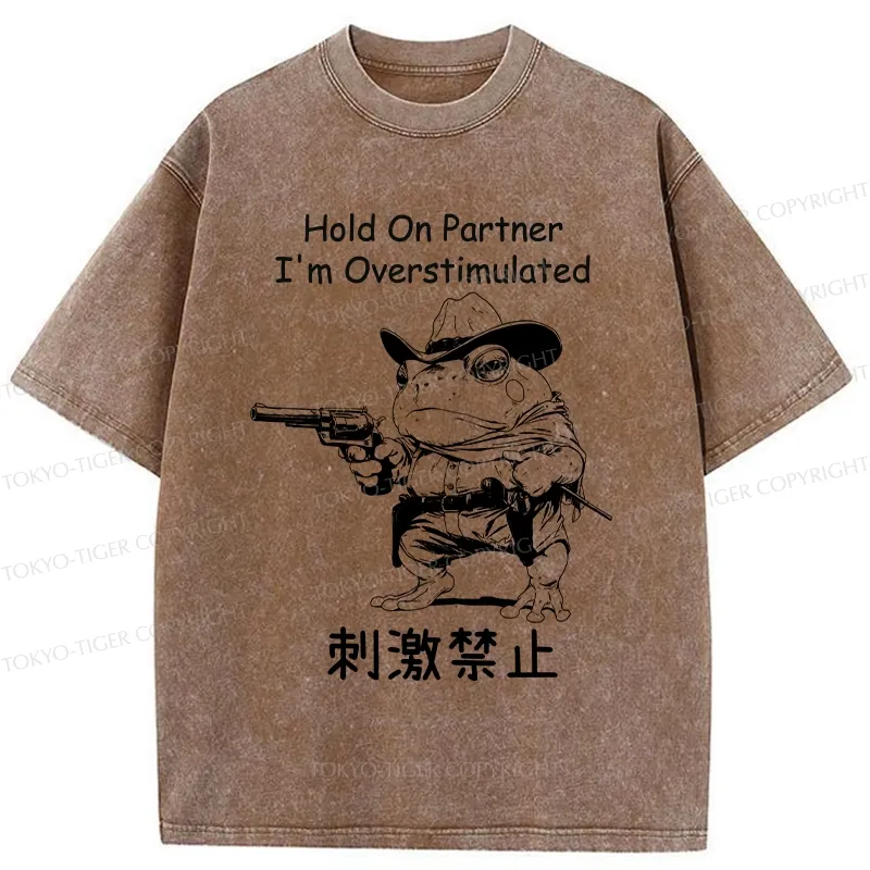 Tokyo-Tiger Overstimulated Frog Washed T-Shirt