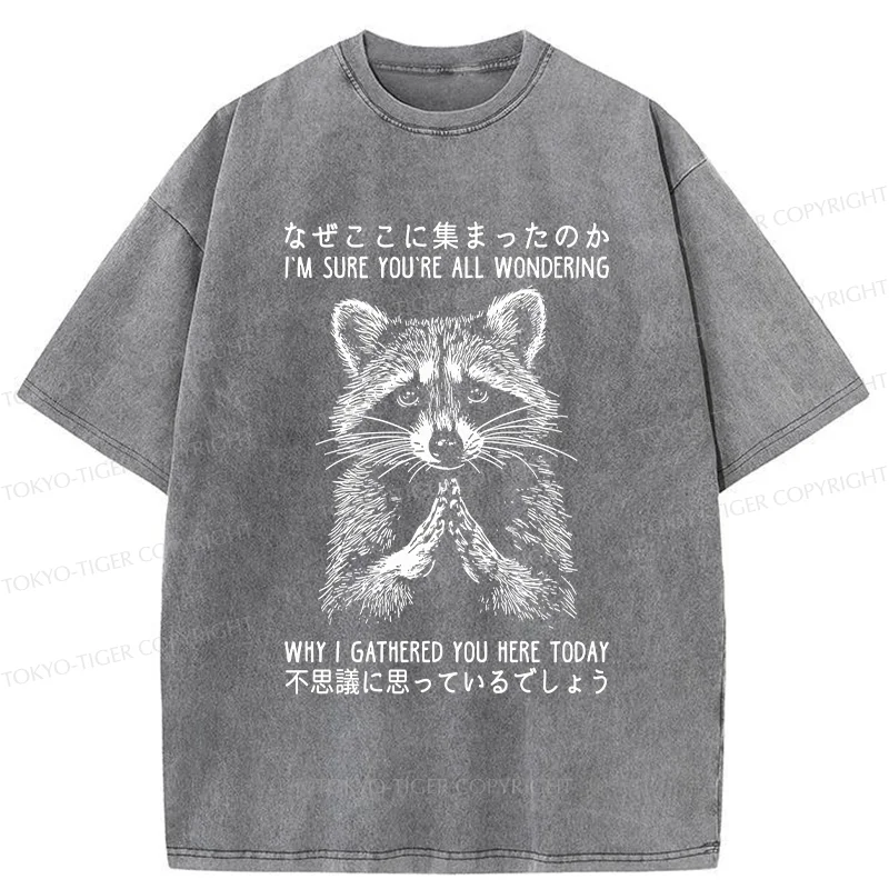 Tokyo-Tiger Something's Going On Raccoon Washed T-Shirt