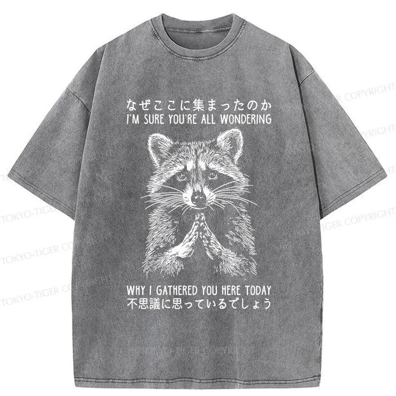 Tokyo-Tiger Something's Going On Raccoon Washed T-Shirt