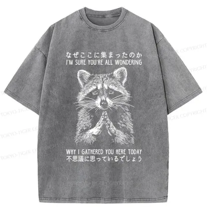 Tokyo-Tiger Something's Going On Raccoon Washed T-Shirt